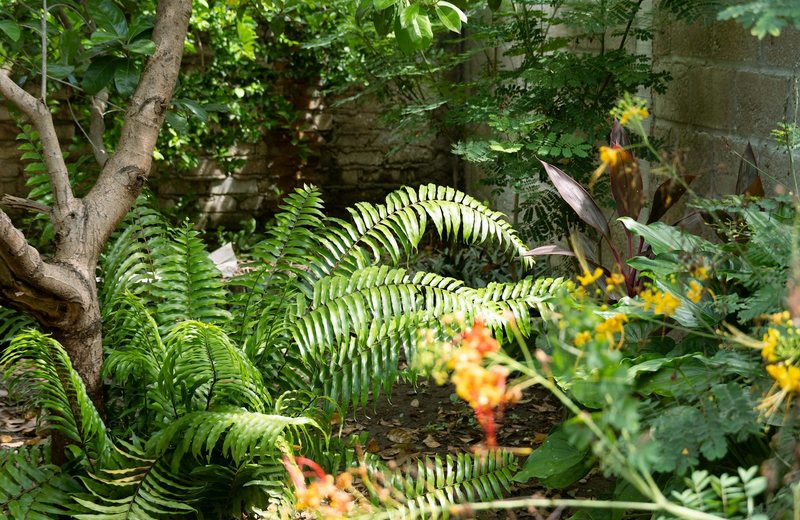 Landscaped Gardens