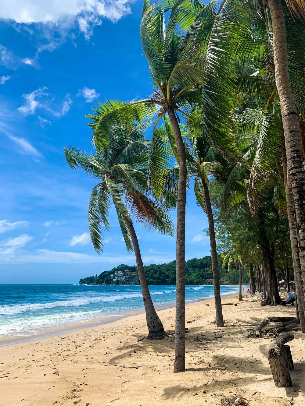 Palm-lined beach on Phuket